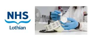 Researcher labelling tissue samples